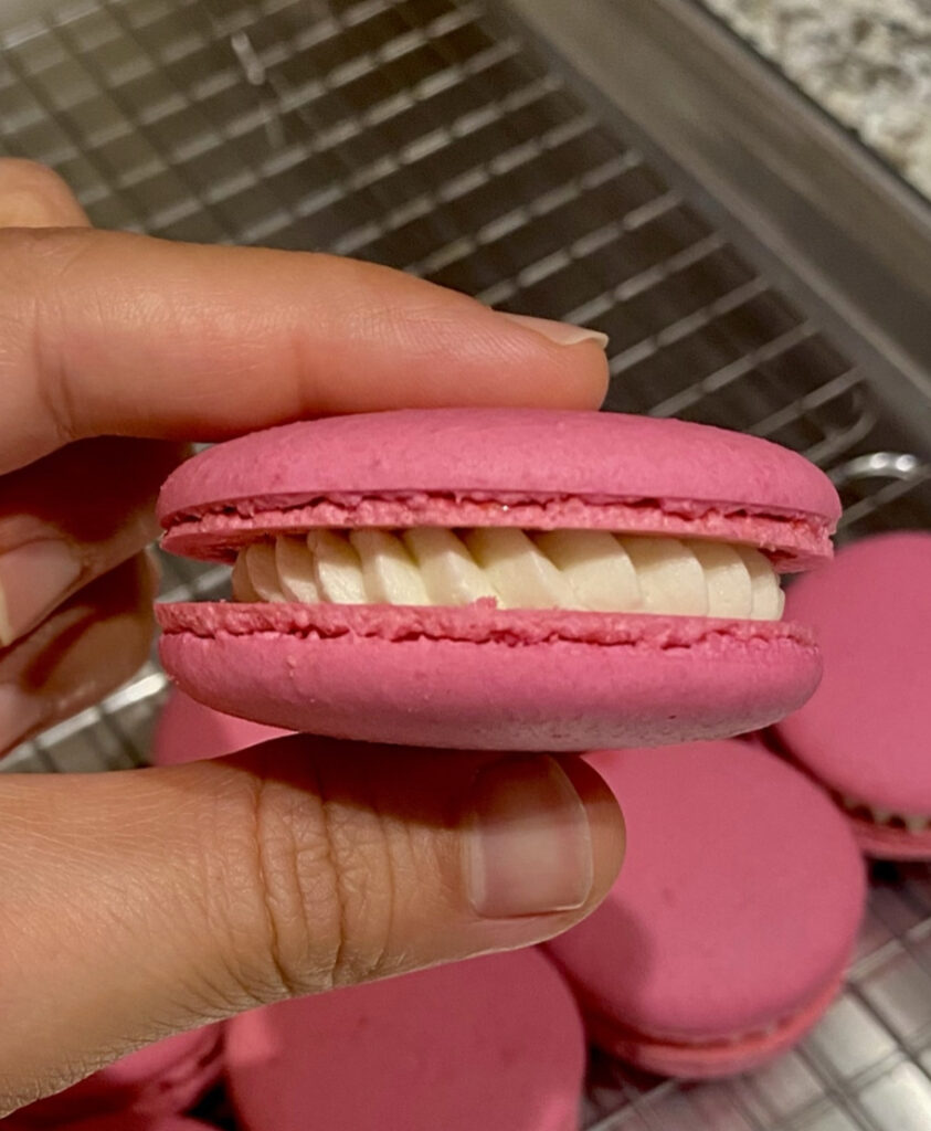 italian pink macaron in hand above table