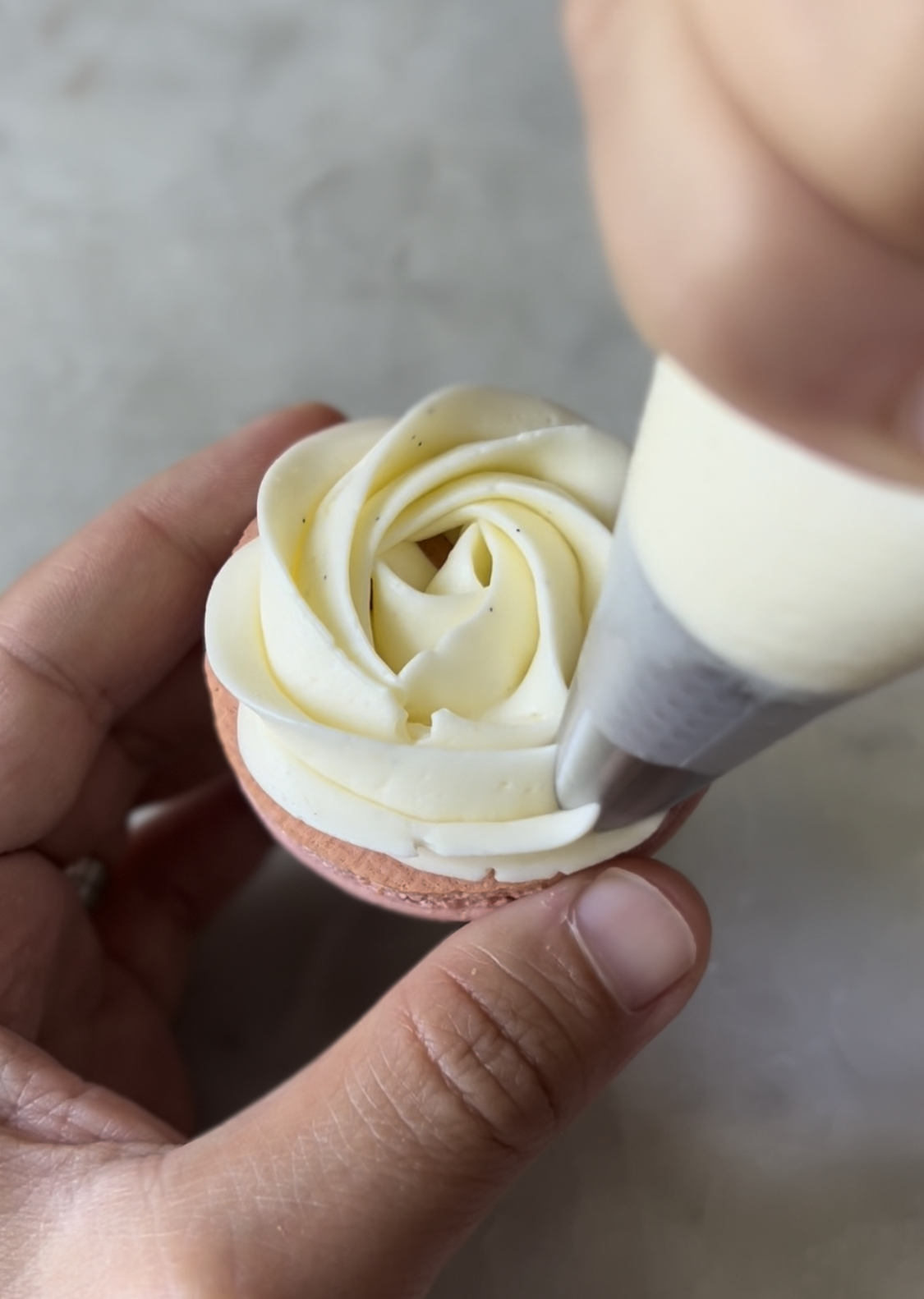 Macaron filled with lavender ermine buttercream