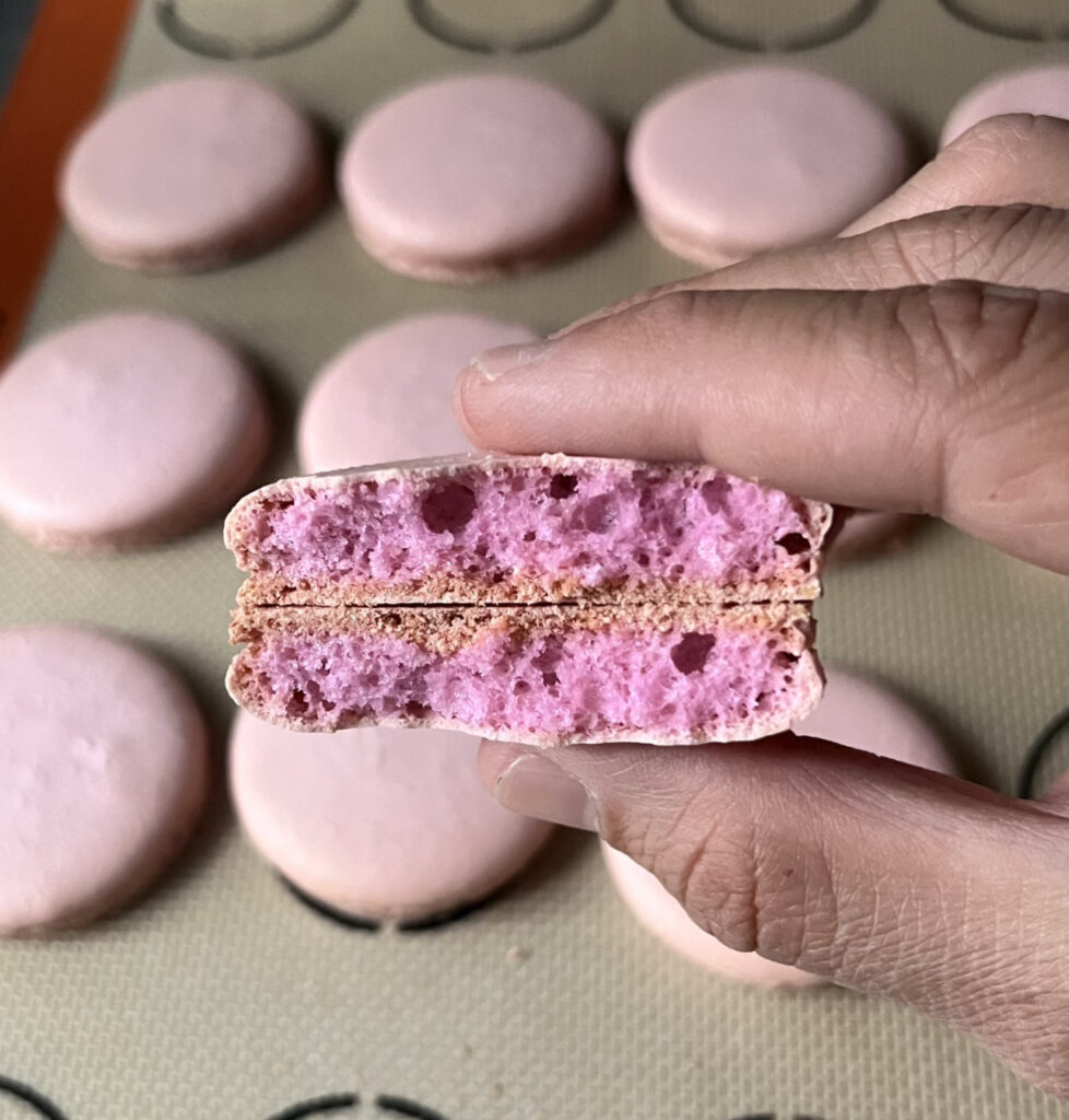 lavendar macaron shell broke in half to show texture